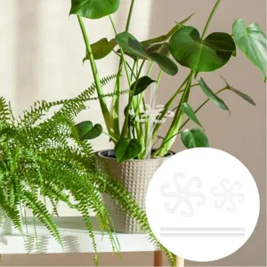 Closeup detail view showing transparent plant support clips and stakes used in potted houseplants.