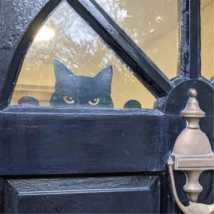 Close-up detail view of black cat peeking silhouette decoration mounted on door window.