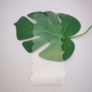Transparent acrylic cake scraper with scalloped edge baking smoothing tool pastry cutter decor.