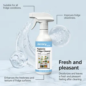 Gedetailleerd overzicht van de 300 ml koelkastreinigerspray met ergonomisch mondstuk.
