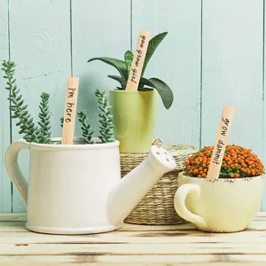 Wooden plant labels markers for garden pots, funny text stake tags for succulents and flowers.