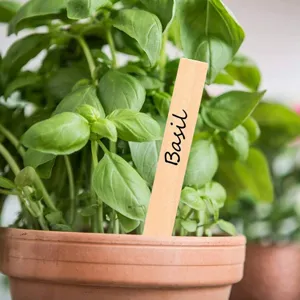 Wooden plant labels garden markers for herbs flowers DIY wooden staked plant tags markers set
