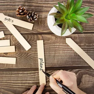 Wooden plant labels detail showing hand writing on garden markers with natural wood aesthetic.
