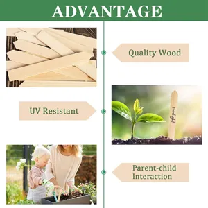 Wooden plant labels detail view showing high quality wood and UV resistant garden markers.