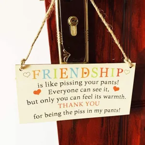 Detail shot of a funny wooden hanging sign with humorous friendship quote and jute rope.