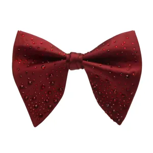Primo piano dettagliato del papillon bordeaux con strass, mostrando la trama scintillante.