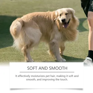 Escena al aire libre de un golden retriever sano que muestra detalles de cuidado del pelo.
