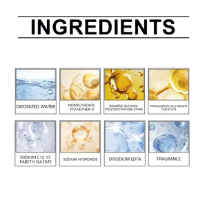 Infografica dettagliata sugli ingredienti che mostra i componenti chimici per la pulizia auto.