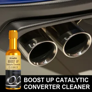 Rayhong Catalytic Converter Cleaner 120ml Engine Exhaust System Carbon Deposit Remover