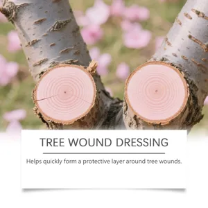 Tree wound dressing detail, pruning seal and healing paint for plants and trees repair.