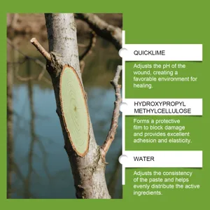 Tree wound healing paste detail showing ingredients like quicklime and protective film for plant care.