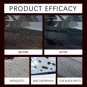 Spray detergente e rimuovi insetti per auto prima e dopo effetto in dettaglio.