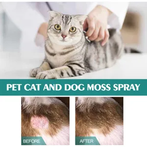 Vista detallada de un spray para mascotas que muestra el cuidado y la piel sana.