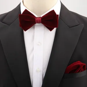 Close-up detail of a burgundy velvet bow tie and pocket square set displayed on a suit.