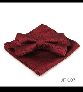 Ensemble noeud papignon et pochette cachemire bordeaux homme mariage vue de détail.
