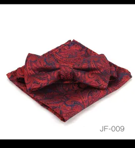 Vue en gros plan détaillée du charmant ensemble nœud papillon et poche paisley rouge.