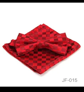 Ensemble nœud papillon et pochette à carreaux rouges pour homme, idéal pour mariages et soirées.