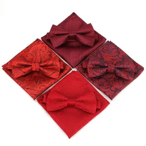 Nœud Papillon Formel Et Pochette Pour Homme Classique Paisley Jacquard Polyester Cravate Pour Mariage Affaires