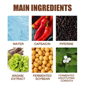 Infografica dettagliata degli ingredienti del prodotto con componenti naturali ed estratti attivi.