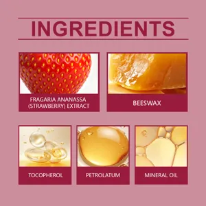 Grafica degli ingredienti del set di crema mani e balsamo labbra natalizio Eelhoe con estratti.