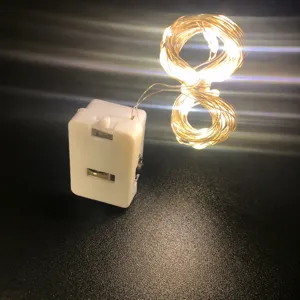 LED copper wire string lights warm white 2 meters battery operated decoration lighting