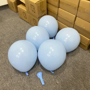 Light blue latex balloons set, perfect for birthday party and classroom decorations.