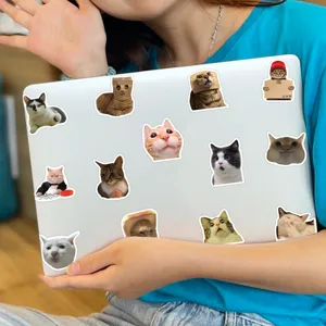 Cute funny cat meme stickers waterproof vinyl decals for laptop water bottle helmet DIY