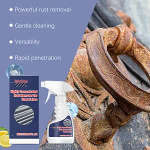 Vue détaillée du spray antirouille avec formule puissante pour le nettoyage des métaux.