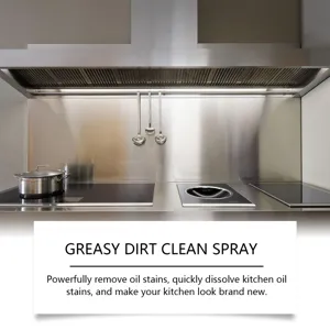 Détail du spray dégraissant de cuisine montrant une élimination puissante des taches.