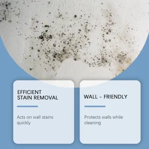 Détachant mural et spray nettoyant anti-moisissure pour un nettoyage sûr et rapide.