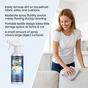 HOMEXA multi-functional stain remover spray detail showing fabric sofa cleaning usage.