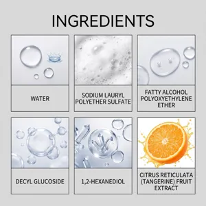 Ingredients detail infographic showing active formula components like surfactants and citrus extract.