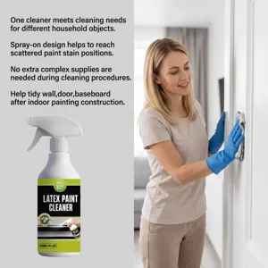 Spray Nettoyant pour Peinture Latex 120ml pour Maison Mur Porte Plinthe Taches