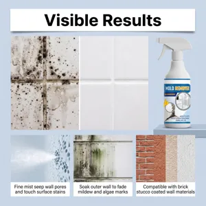 Spray anti-moisissure murale 120ml pour cuisine salle de bain et murs extérieurs.