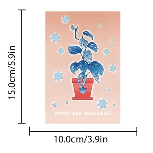 Detailed view of the cute monstera adansonii postcard with dimensions, perfect for collection.