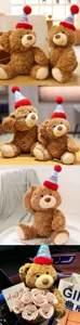 Wholesale birthday hat teddy bear doll Valentine day hug flower bucket gift for girls