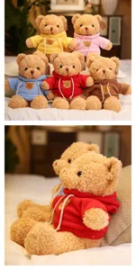 Cute teddy bear plush toys with colorful hoodie soft stuffed doll gift for kids and girls