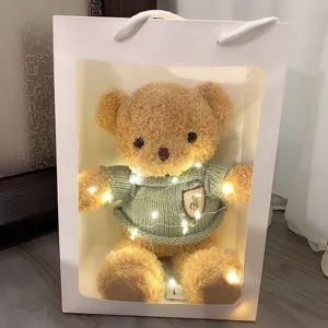 Osito de peluche en caja de regalo transparente con luces LED, regalo ideal y tierno.
