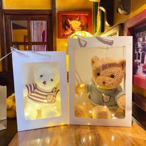 Adorable osito de peluche en caja de regalo transparente con luces LED cálidas.