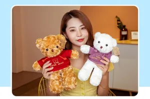 Cute hoodie teddy bear plush toy, soft stuffed animal doll for kids gift and home decoration.