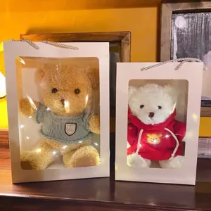 Cajas de regalo transparentes con adorables osos de peluche y cálida cadena de luces LED.