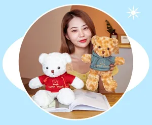 Detailed view of cute plush teddy bear wearing a stylish hoodie, soft toy gift for kids.