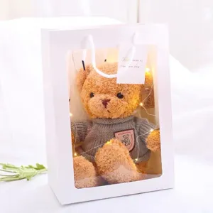 Lindo osito de peluche en caja de regalo transparente con luces LED regalo romántico