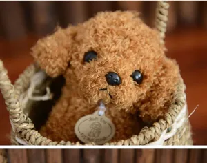 Mignon caniche bouclé en peluche chien de simulation poupée peluche cadeau pour enfants déco.
