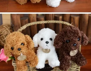 Joli chien en peluche bouclée poupée chiot de simulation pour beau cadeau d'enfants