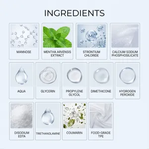 Infografía detallada de ingredientes del parche dental con componentes activos clave.