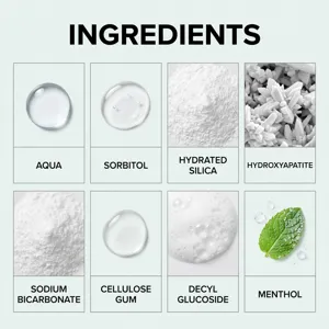 Infographie détaillée des ingrédients présentant les composants actifs du dentifrice menthe.