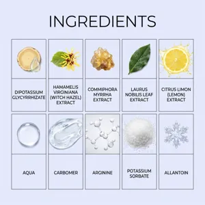 Vue détaillée des actifs et extraits de plantes naturels pour la formule du gel de soin buccal.