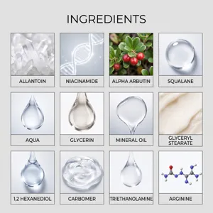 Detailed skincare ingredients infographic showing active formulas for facial care and hydration.