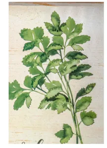 Detailed close-up of American country style botanical watercolor hanging painting decor.